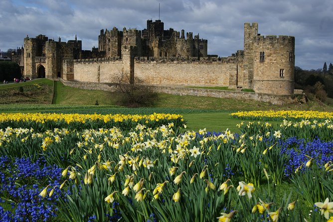 1 Day Alnwick Castle, Holy Island & Scottish Borders - Bamburgh Castle stop: quick sea views with Viking-era imagination
