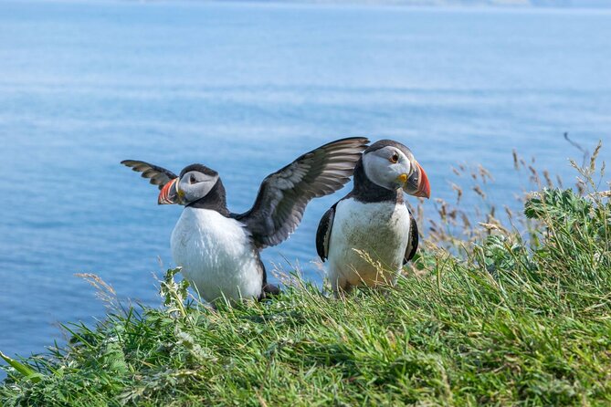 1 Day Moray Coast Tour with Speyside Whisky from Inverness - Key Highlights Worth Marking on Your Map