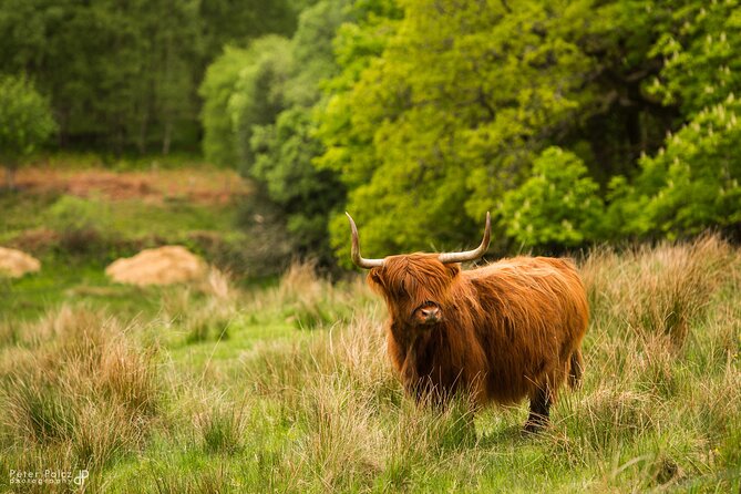1-day Small Group Loch Ness Discovery Tour from Glasgow - Fort Augustus: your Loch Ness base and lunch-time flexibility