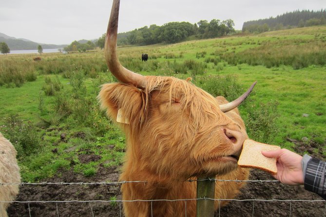 1 Day Tour from Inverness - Isle of Skye, Fairy Pools, and Eilean Donan Castle - Loch Ness at a quick stop: Nessie vibes, then straight to Skye