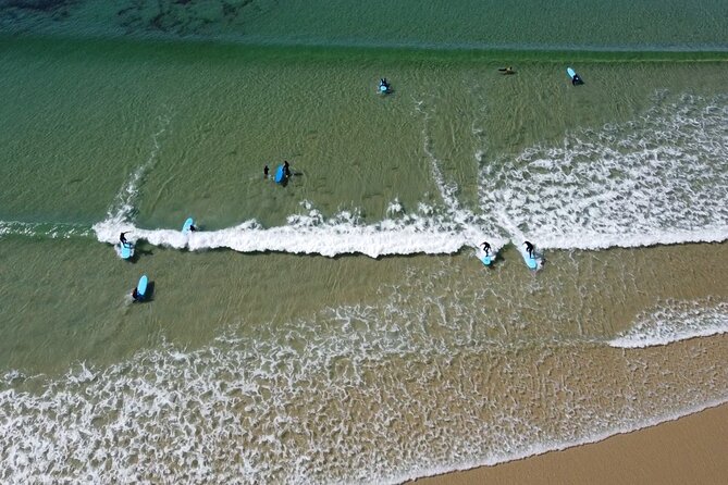 2 hour group lesson (3-16 people) - Spot Seals And Sea Birds, If The Day Gives You A Break