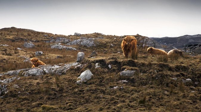 3-Day Hebrides Tour from Inverness: Isles of Lewis and Harris - Key highlights to know before you go
