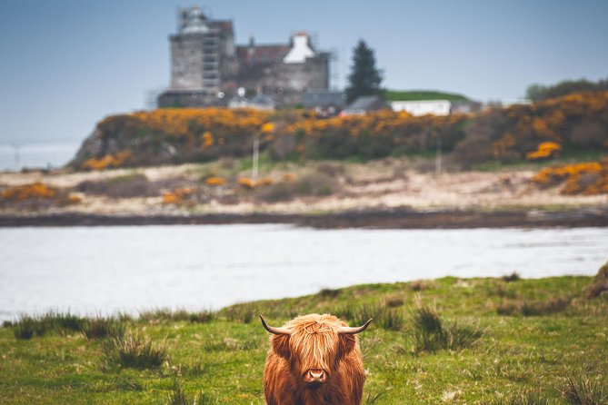 3-Day Isle of Mull and Iona Small-Group Tour from Glasgow - Value check: what $755.74 buys you, and what you still need to pay