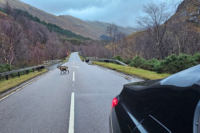 3 Day Isle of Skye Adventure from Edinburgh - The value behind the group price (and how to think about it)