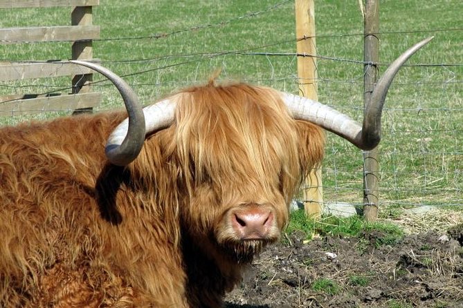 3-Day Isle of Skye and Highlands Tour from Glasgow - Day 1: Loch Lomond through Luss, Glencoe, and a Ben Nevis sighting chance