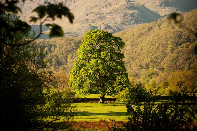3-Day Lake District Explorer Small-Group Tour from Edinburgh - Day 3: Whinlatter Pass, Honister slate views, Borrowdale lakes, and Biggar