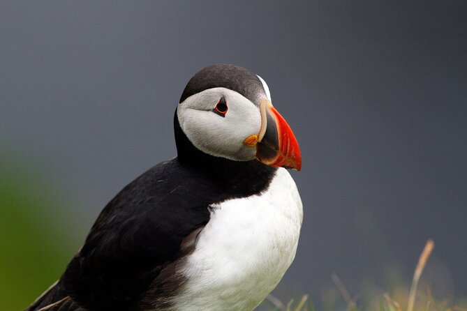 4 Day Mull, Iona and Staffa Puffin Experience from Edinburgh - Day 1: From Loch Lomond to Inveraray, Dunadd, and onward to Tobermory