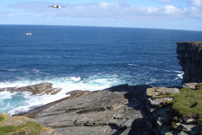 5-Day Orkney & Northern Coast Tour from Edinburgh Incl Admissions - Day 5: Culloden Battlefield, Clava Cairns, Lunch in the Pine Forest, Then Back to Edinburgh