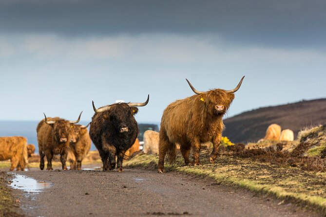 8 Day Isle of Skye, Orkney & North Coast 500 tour from Edinburgh - Day 2 across the coast to Orkney, with Dunrobin as a bonus-minded stop