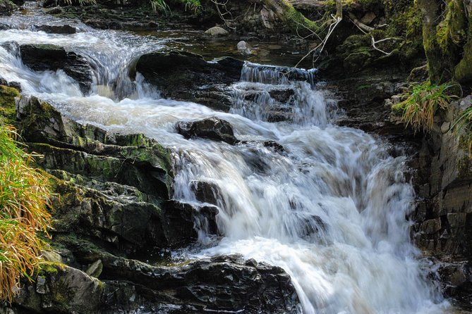 Alternative Loch Ness Tour by Secret Highlands - Plodda Falls: a short walk to the base, with a plunge-pool option