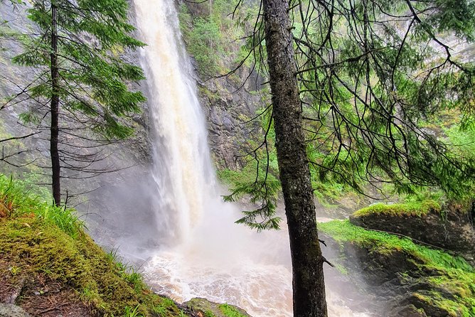 Alternative Loch Ness Tour by Secret Highlands - Price and what you get for $376.86 per person