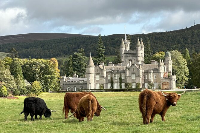 Balmoral & Royal Deeside Tour - Cambus O’ May suspension bridge and the Deeside Way link