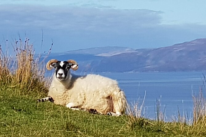 Bespoke Private Tours of Scotland and the Borders - The Scottish Highlands portion, what you should expect