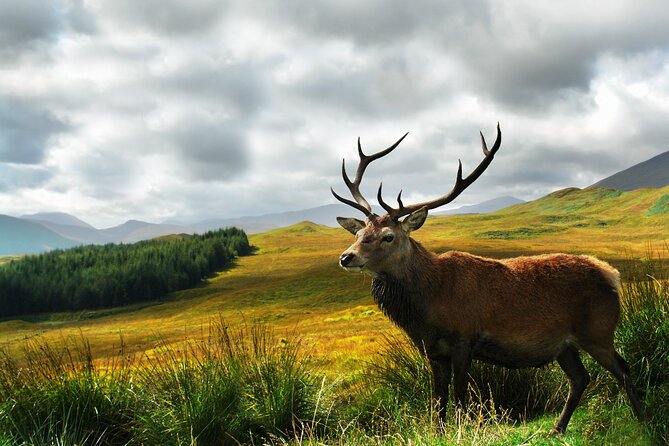 Best of The Highlands – Private Tour - Price and value: what you are really paying for
