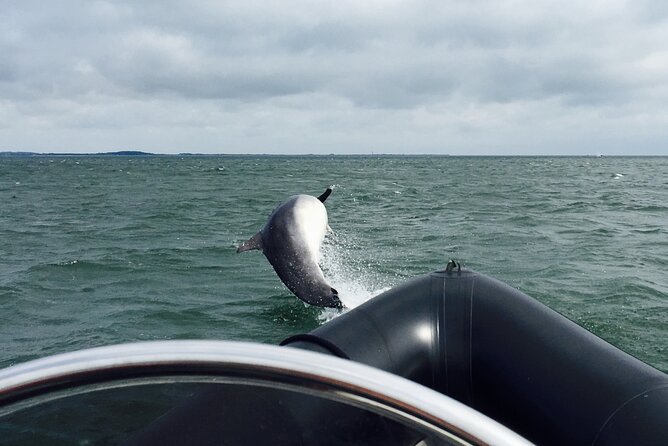 Boat Seafari Adventure - Getting started at the Lifeboat Sculpture in Broughty Ferry