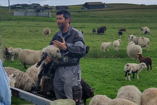 Bressay Explorer Crofting and Island Life Tour - From Lerwick to Bressay: a 7-minute ferry that sets the tone