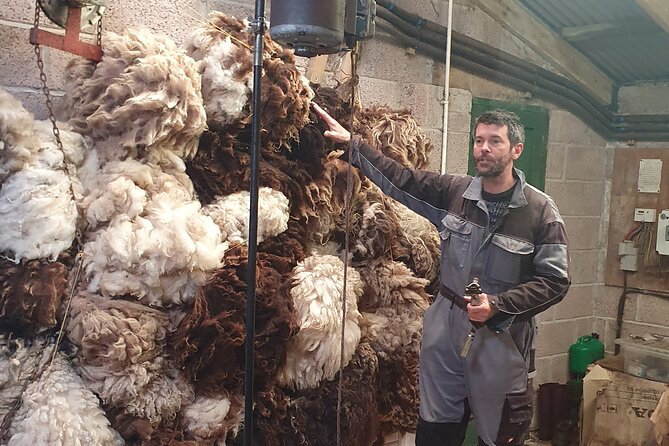 Bressay Explorer Crofting and Island Life Tour - Back to Lerwick: using the drop-off to finish your day