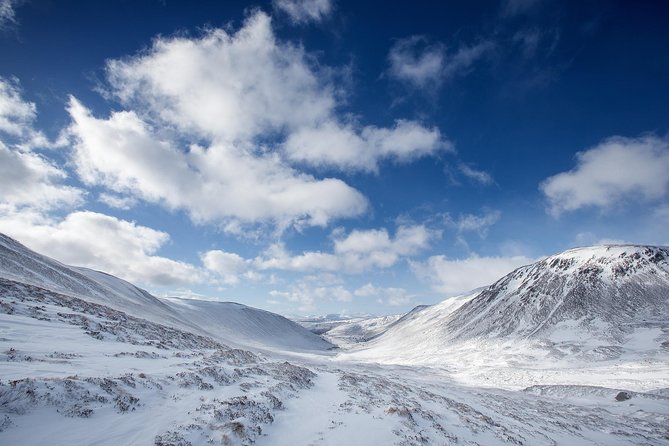 Cairngorms & Whisky Day Tour from Inverness Including Admission - Aviemore lunch break: eat like a local, not like a schedule