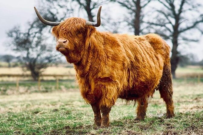 Cawdor Castle, Inverness, Culloden, Outlander and Loch Ness Tour - Price and value: what you’re paying for