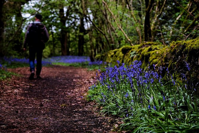 Central Scotland Driving Tour - Stirlingshire (Private) - Callander Visitor Information Cantre: Highland gateway energy and a food break
