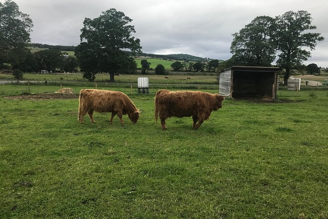 Culloden Battlefield, Clava Cairns and Loch Ness, Urquhart Castle - A tight route that hits the Highland highlights fast