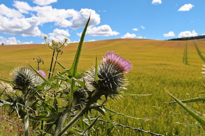 Cycle To Loch Ness - Self Guided - What to pack, and how to time your lunch