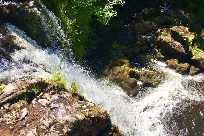 Discover Scotland Off the Beaten Track - Time at the gorge: roaming views, hidden spots, and photo options