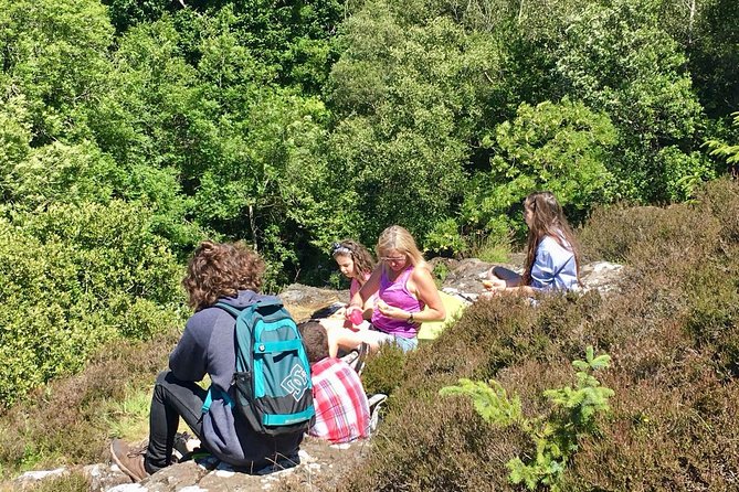 Discover Scotland Off the Beaten Track - Small-group size and air-conditioned comfort: why the price makes sense