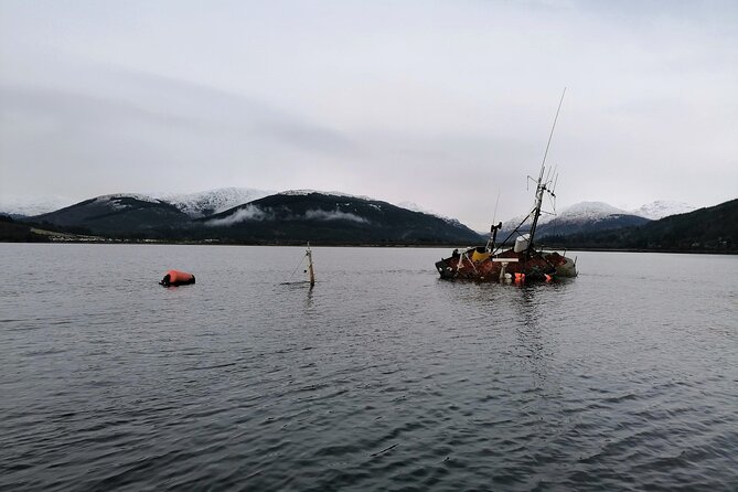Doon The Watter - Dunoon, the Gantocks, and the West Bay: the cruise views that make it worth it