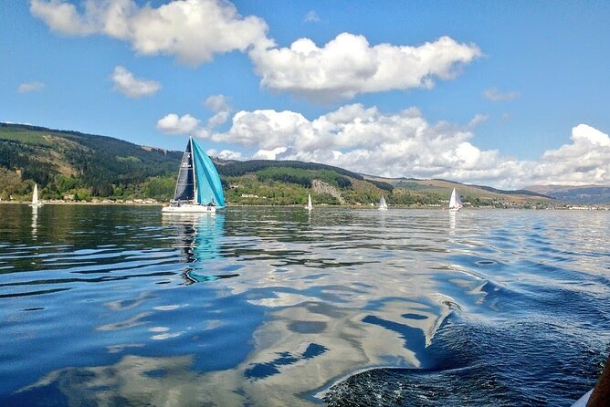 Doon The Watter - Porpoises, seals, and sea birds, plus the wreck stories
