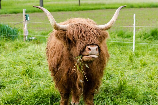 Doune Castle and Highlands Day Tour from Glasgow - Stop 4: Luss village walk and the stories of place