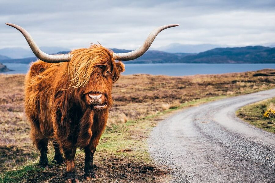 Edinburgh: 3-Day Isle of Skye, Highlands, and Loch Ness Tour - From Edinburgh to Luss on Loch Lomond, a Calm First Hour