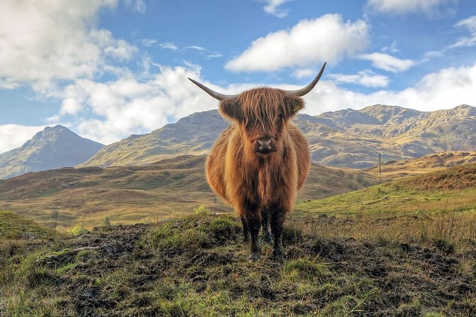 Edinburgh: Loch Lomond, Stirling Castle and the Kelpies Day Tour - A One-Day Route Through Scotland’s Big Hits