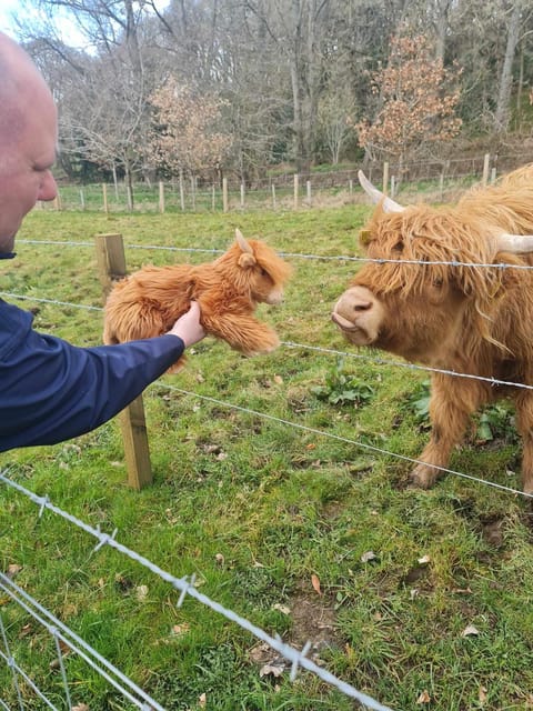 Edinburgh: Loch Ness, Glencoe, Coos & the Highlands Day Tour - Spean Bridge and Tyndrum breaks, then the ride back to St Andrew Square