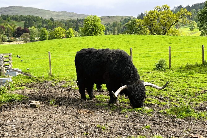 Edinburgh: Loch Ness, Glencoe & The Highlands - Fort William lunch break: time to eat, not just to look