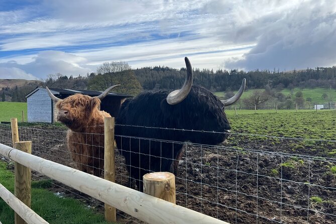 Edinburgh: The Kelpies, Stirling Castle, Loch Lomond & Trossachs - The big idea: why this Edinburgh to Loch Lomond day works