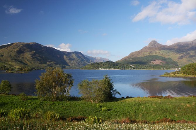 Edinburgh: The Ultimate Whisky Experience Tour - Price and value: what $83.18 really covers