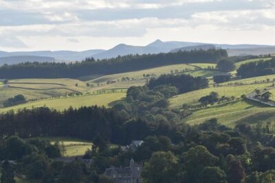 Farm Attraction – Highland Cows, Animal Feeding, Wholesome fun!