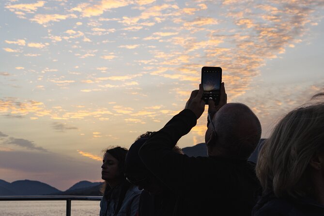 Fort William Evening Cruise - Wildlife on Loch Linnhe: how to think about dolphins and seals