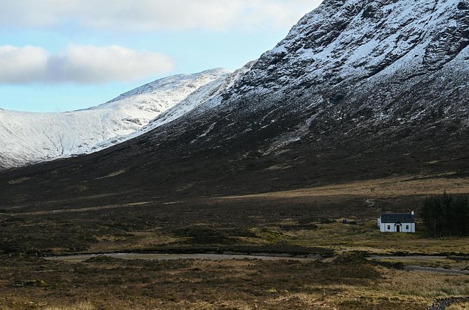 From Edinburgh: Glenfinnan, Highlands & Hairy Coos - Cairngorms in the afternoon and the Blue Mountains