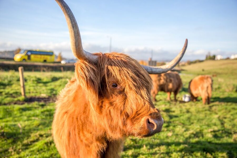 From Edinburgh: Isle of Skye & The Highlands 3-Day Tour - Glen Coe and Rannoch Moor: the emotional payoff of the route