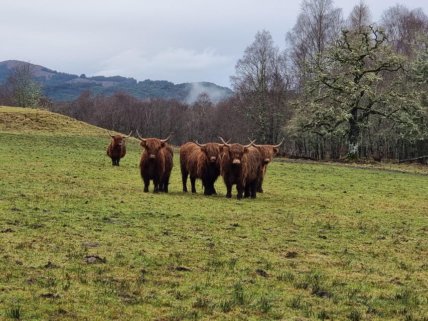From Edinburgh: Loch Ness Private Day Tour with Transfers - Glen Orchy panoramas and Glencoe, where the views come with a story