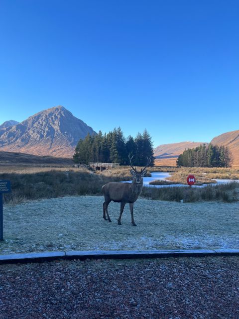 From Edinburgh: The Kelpies, Glencoe & Loch Lomond Day Tour - Key things to notice before you go