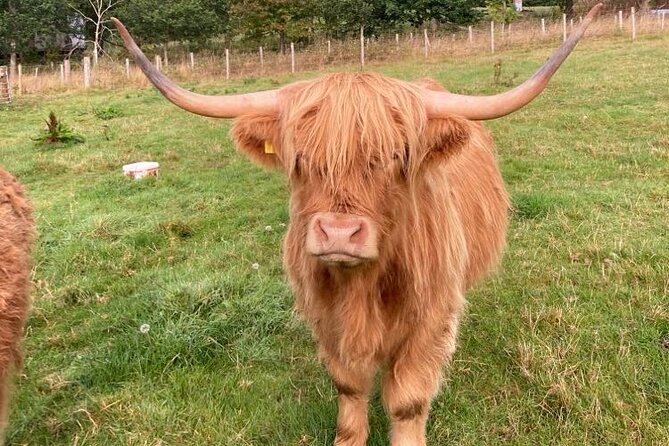 From Inverness visit Loch Ness, Culloden & Cawdor Castle Day Tour - Price and value for a private group up to 3