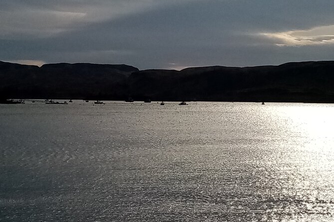 Full-Day Tour Loch Lomond, Stirling Castle and The Trossachs - The included extras: whisky, shortbread, and real comfort in the car