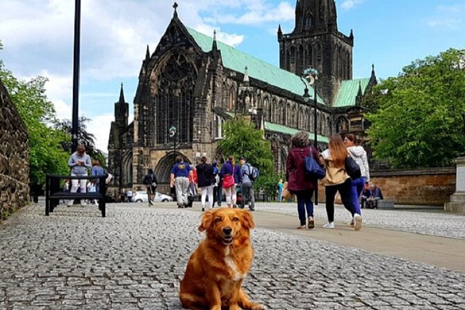 Gander Walking Tours in Glasgow - Mother Glasgow: the city’s powerhouse, explained like a local story