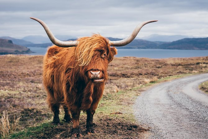 Glasgow: Isle of Skye, The Highlands and Loch Ness - 3 Day Tour - Day 3: Eilean Donan Castle, Loch Ness country, and a final Ben Nevis look