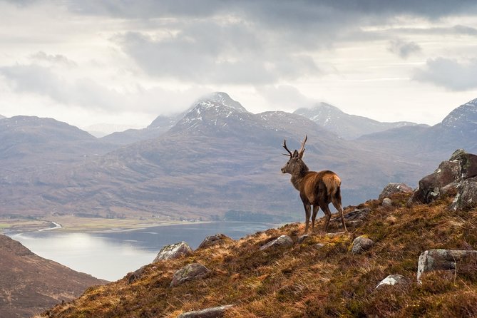 Glasgow: Isle of Skye, The Highlands and Loch Ness - 3 Day Tour - Why the small group and live commentary are the real value