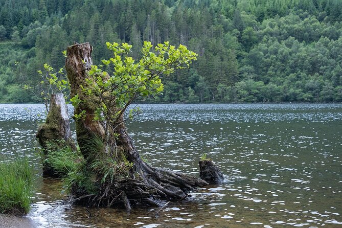 Glasgow Shore Excursion Loch Lomond Stirling Castle - Price and value: $84.92, plus what you might still pay