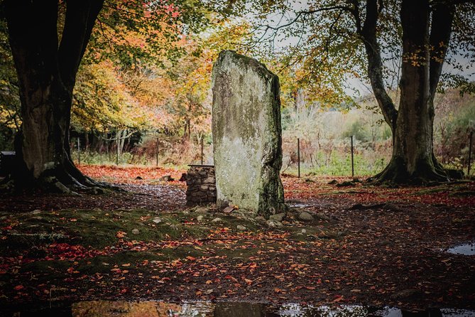 Glen Affric & Culloden Tour from Inverness Including Admissions - Meeting point, timing, and how the day actually flows